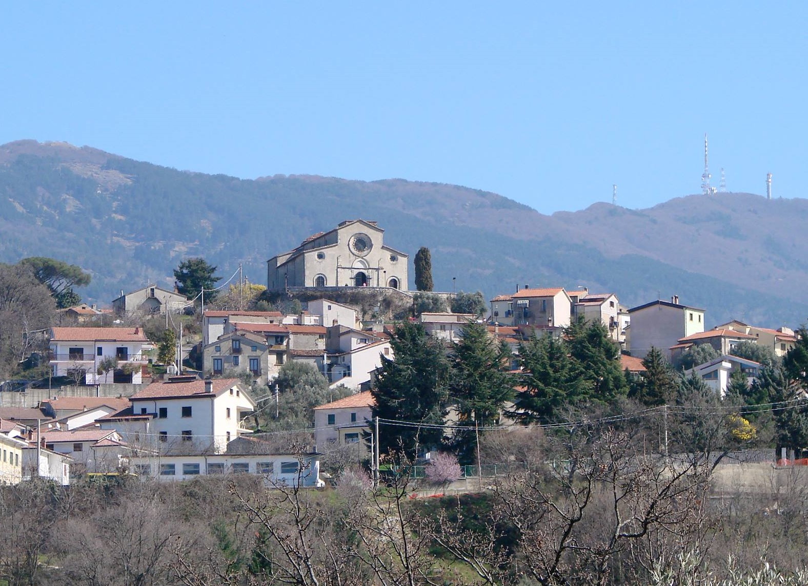 Post Image